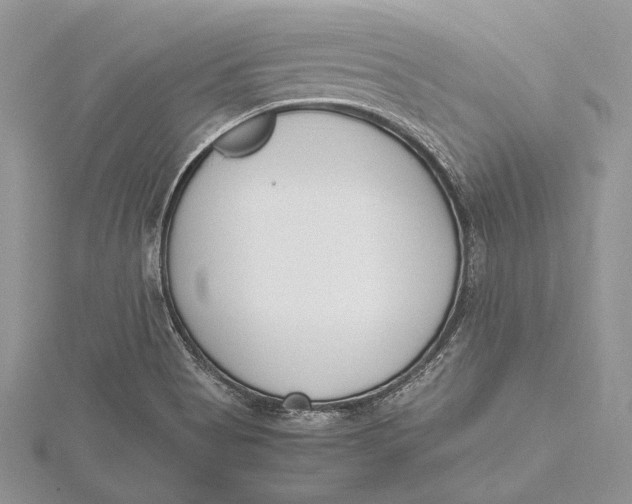 X0000115761513200912041359