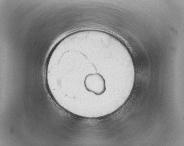 X0000115761514200912041359