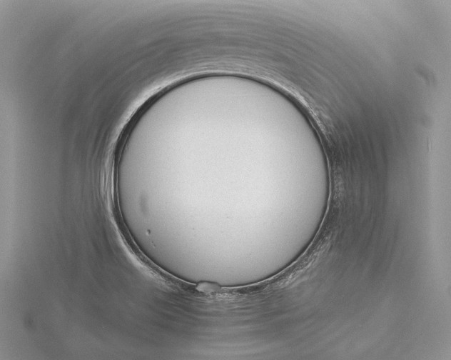 X0000115761515200912041359