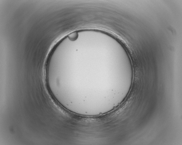 X0000115761517200912041359