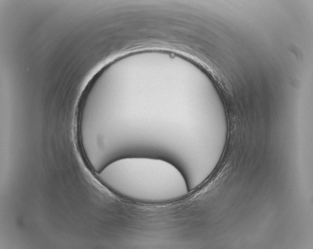 X0000115761518200912041359