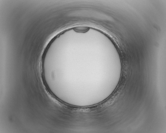 X0000115761519200912041359