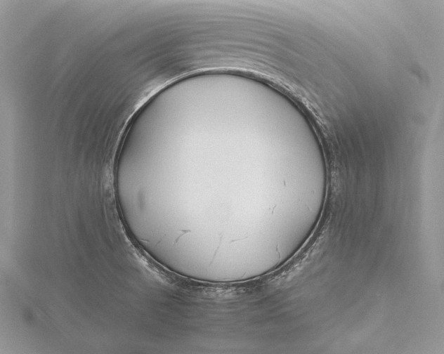 X0000115761521200912041359