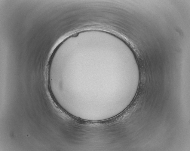 X0000115761522200912041359