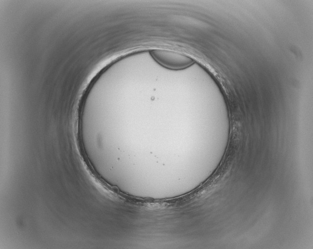 X0000115761523200912041400