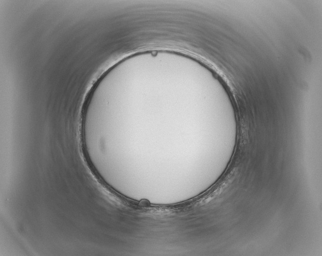 X0000115761525200912041400