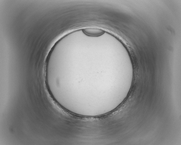 X0000115761526200912041400