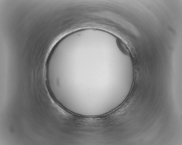 X0000115761527200912041400