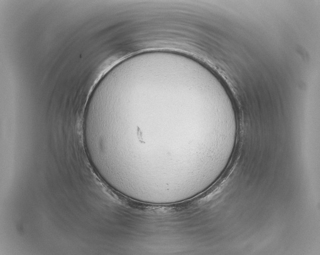 X0000115761529200912041400