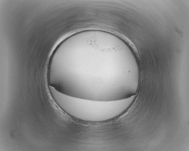 X0000115761530200912041400