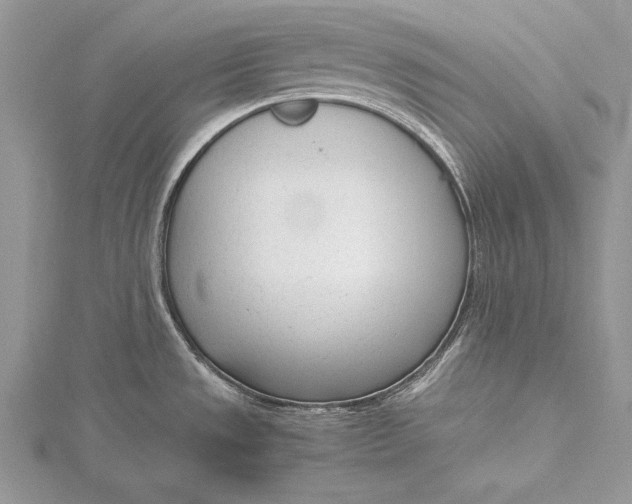 X0000115761533200912041400