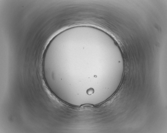 X0000115761534200912041400