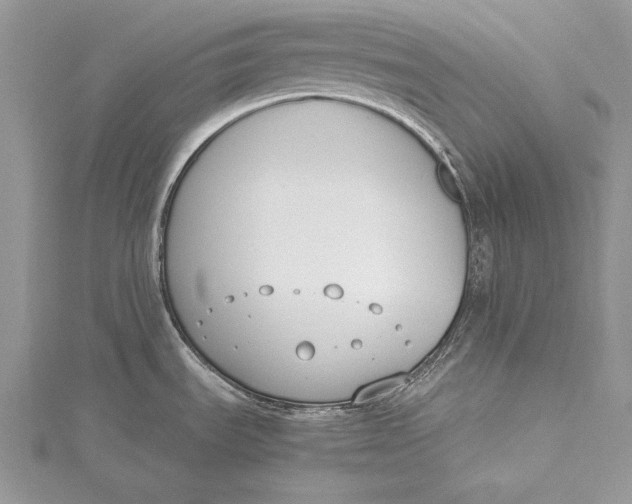 X0000115761535200912041400