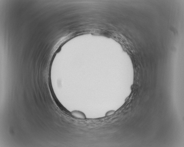 X0000115760003200912111055