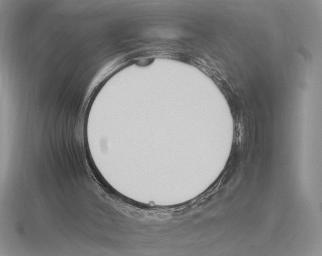 X0000115760004200912111055
