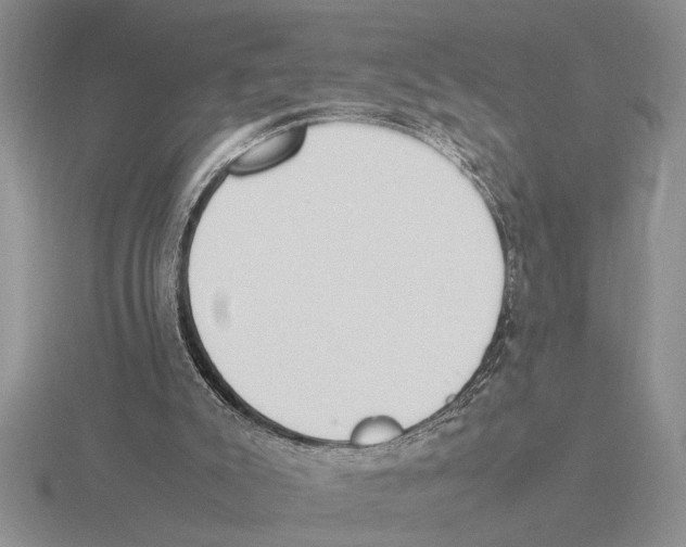 X0000115760007200912111055