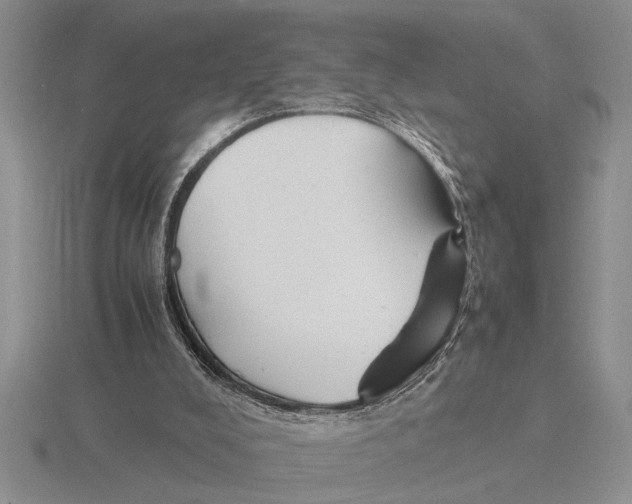 X0000115760008200912111055