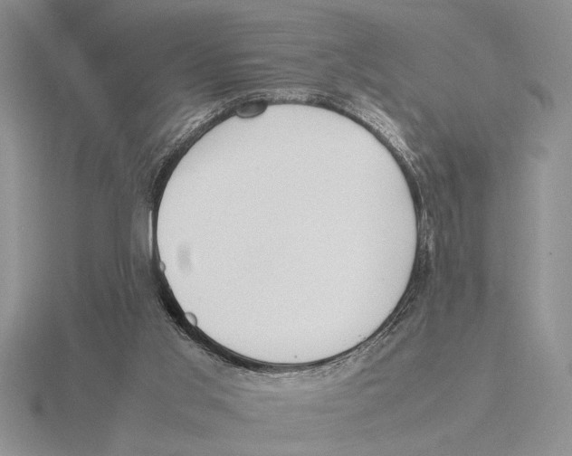 X0000115760013200912111055