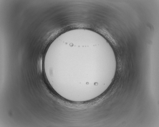 X0000115760014200912111055