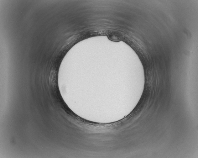 X0000115760036200912111055