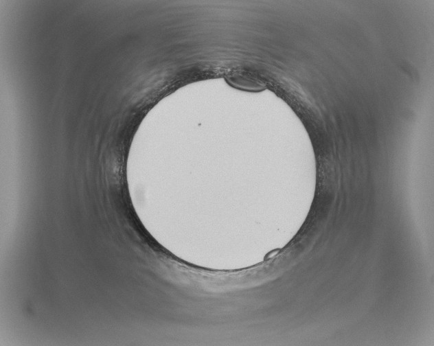 X0000115760039200912111055