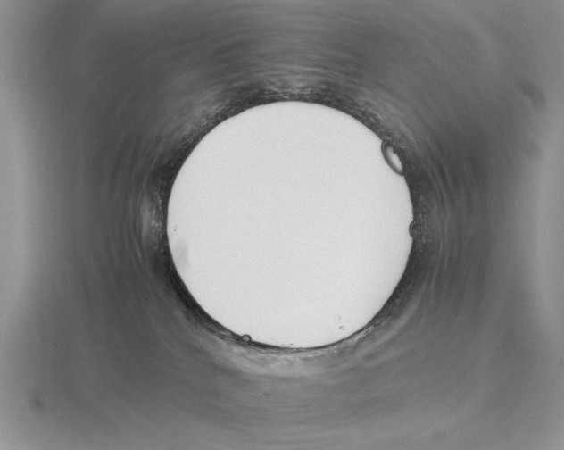 X0000115760040200912111054