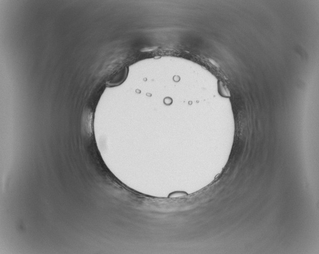 X0000115760041200912111054