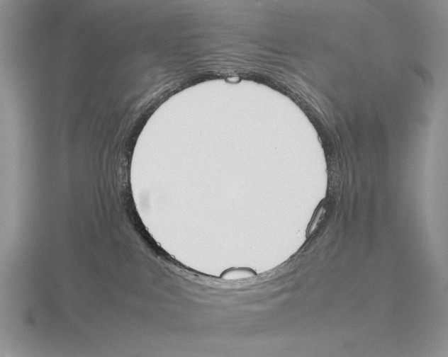 X0000115760043200912111054