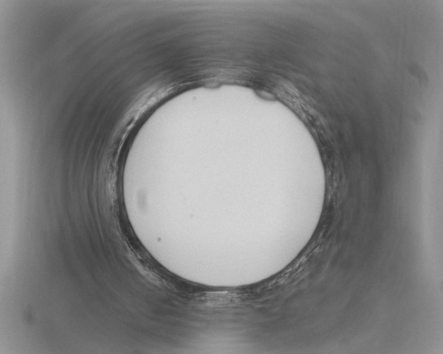 X0000115760050200912111054