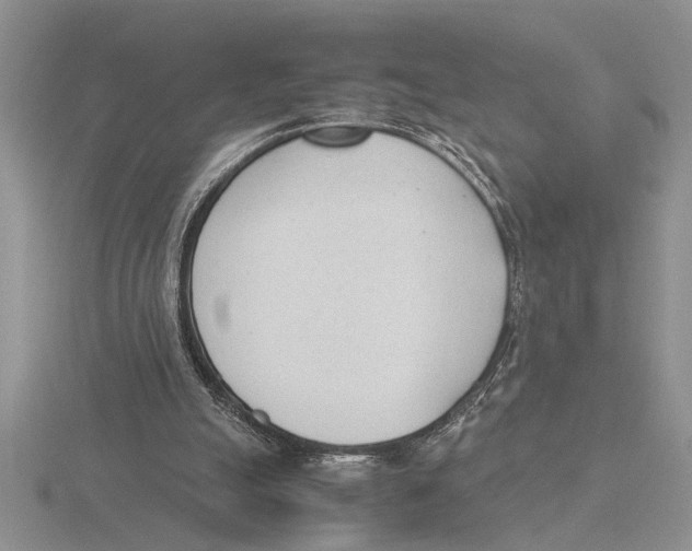 X0000115760055200912111054