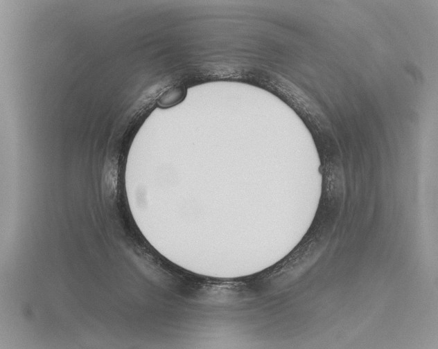 X0000115760072200912111054