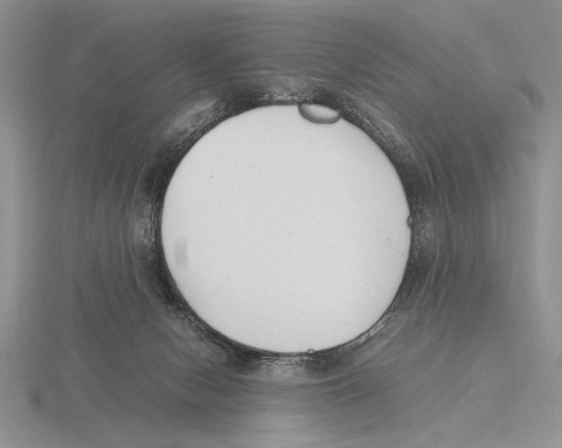 X0000115760078200912111054