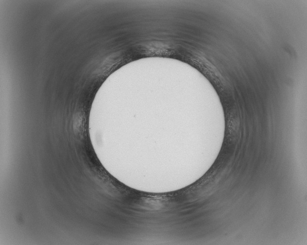 X0000115760079200912111054