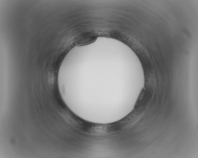 X0000115760084200912111054
