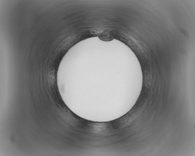 X0000115760085200912111054