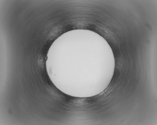 X0000115760086200912111054