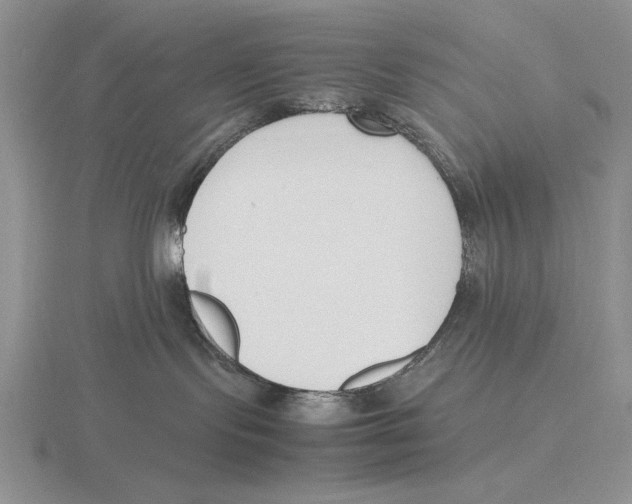 X0000115760095200912111054