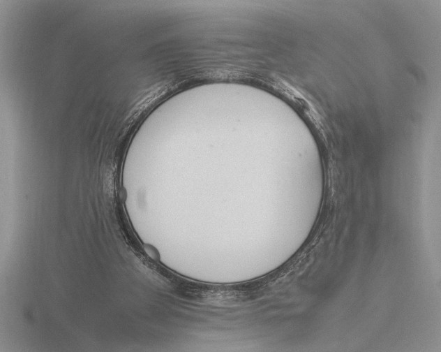 X0000115760105200912111054