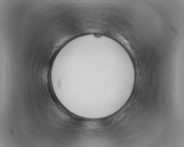 X0000115760106200912111054