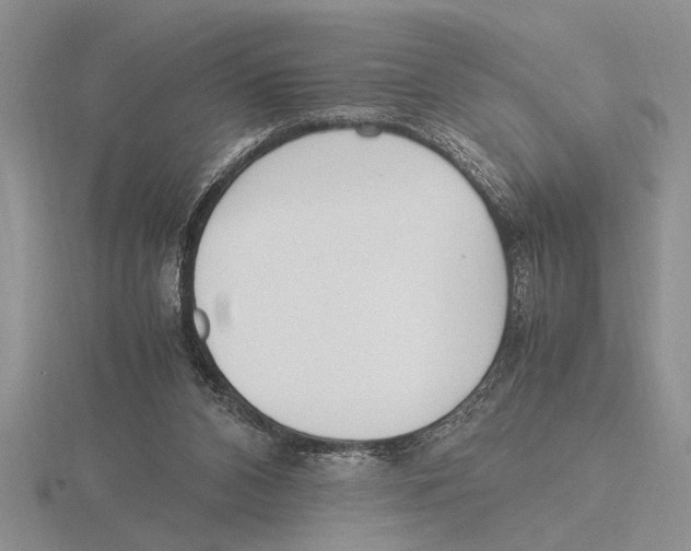 X0000115760112200912111054