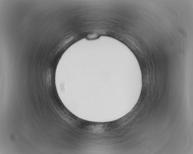 X0000115760120200912111053