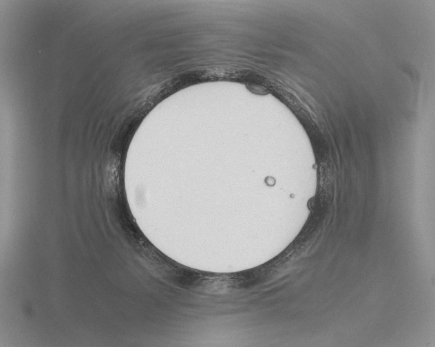 X0000115760127200912111053