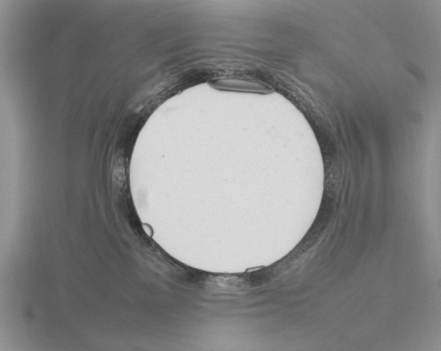 X0000115760137200912111053