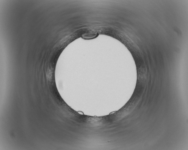 X0000115760139200912111053