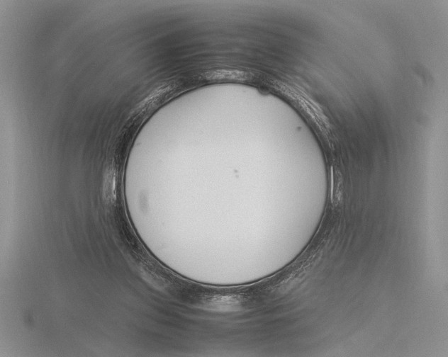 X0000115760157200912111053