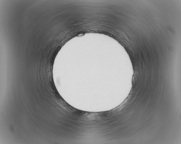 X0000115760186200912111053