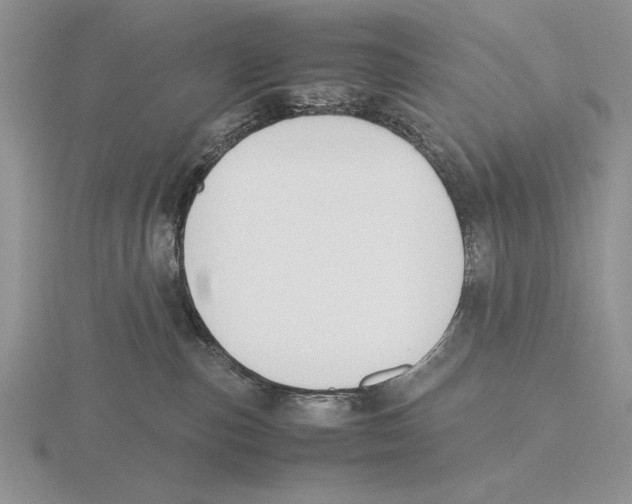 X0000115760187200912111053