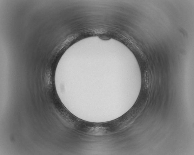 X0000115760212200912111052