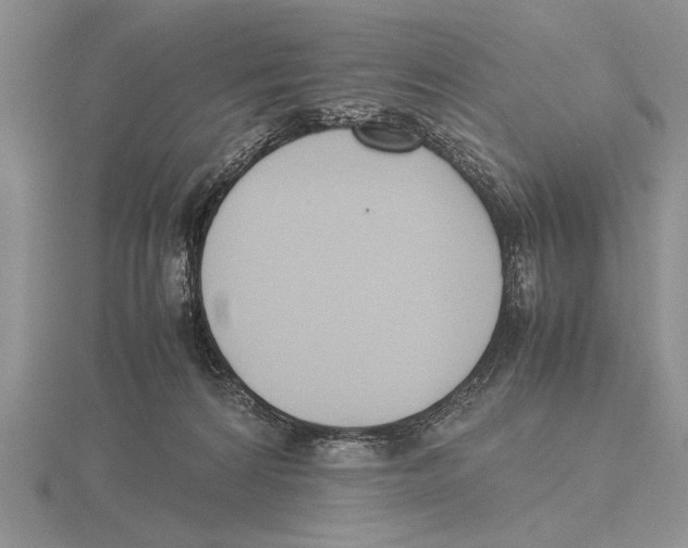 X0000115760224200912111052