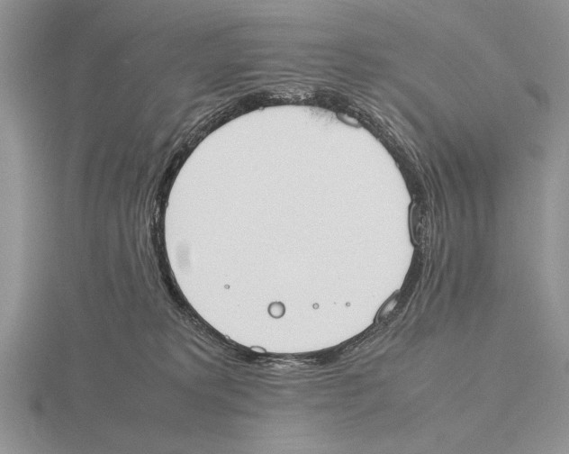 X0000115760229200912111052